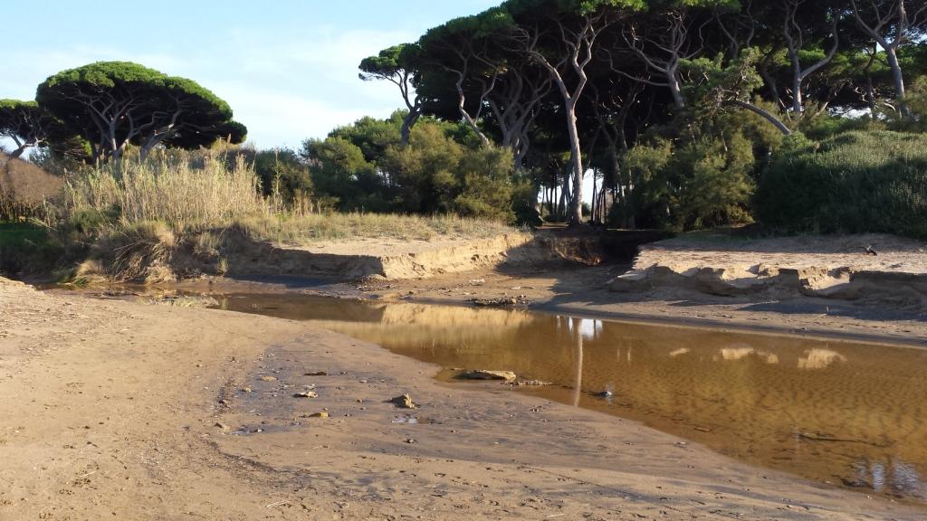 I fossi e lo stagno di Baratti (Piombino - LI)